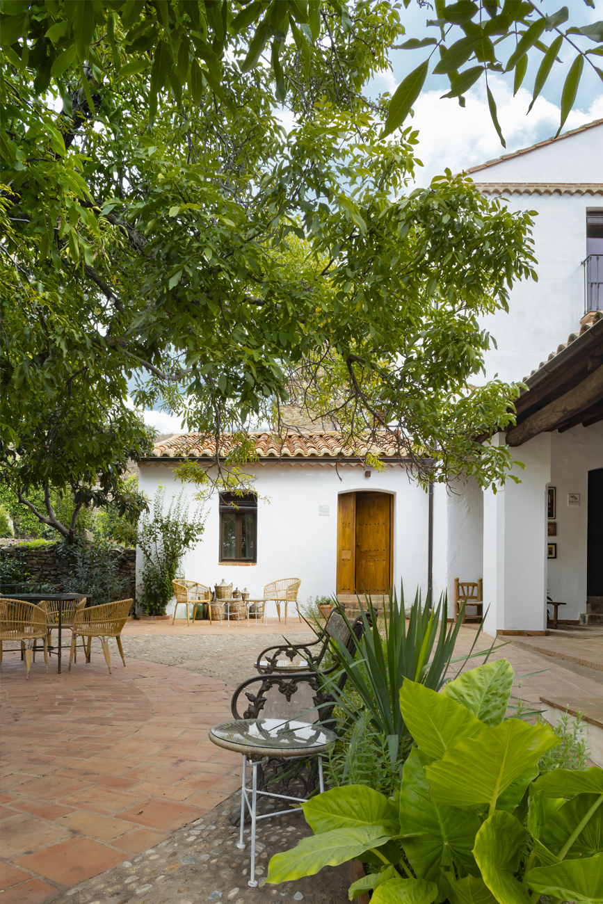 Nogal y plantas medicinales en El Patio del Nogal