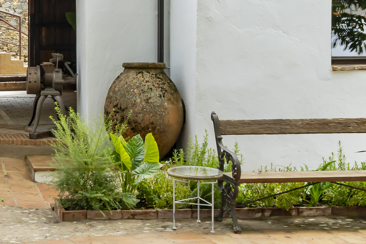 plantas medicinales en El Patio del Nogal